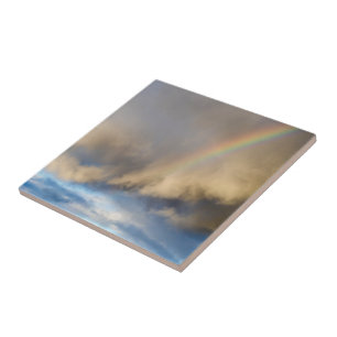 rainbow rebellion ceramic tile