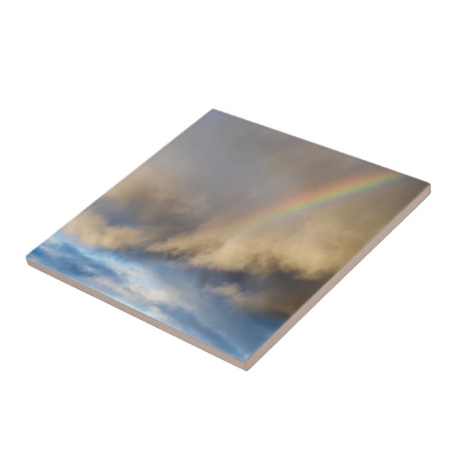 rainbow rebellion ceramic tile (Side)