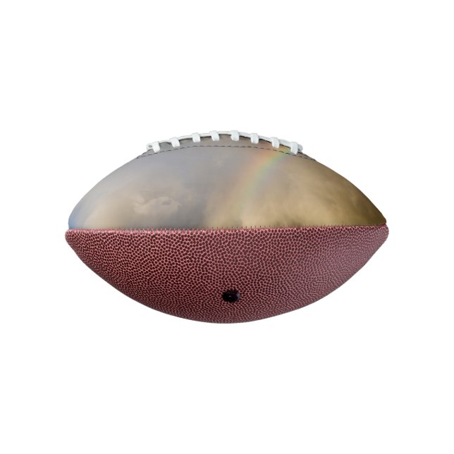 rainbow rebellion football (Rotated 270)