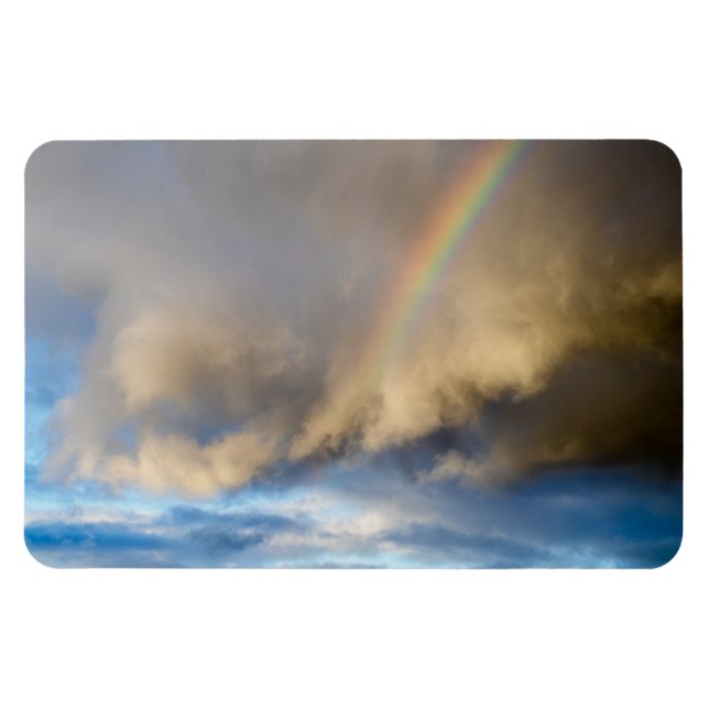 rainbow rebellion magnet (Horizontal)