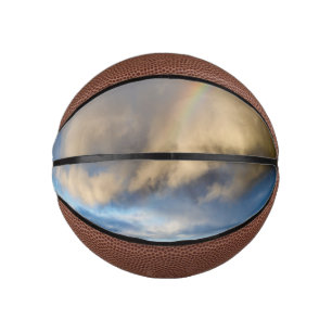 rainbow rebellion mini basketball