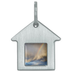 rainbow rebellion pet ID tag