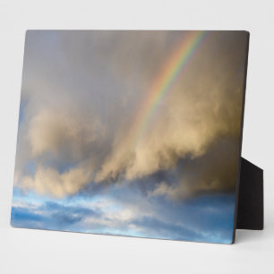 rainbow rebellion plaque