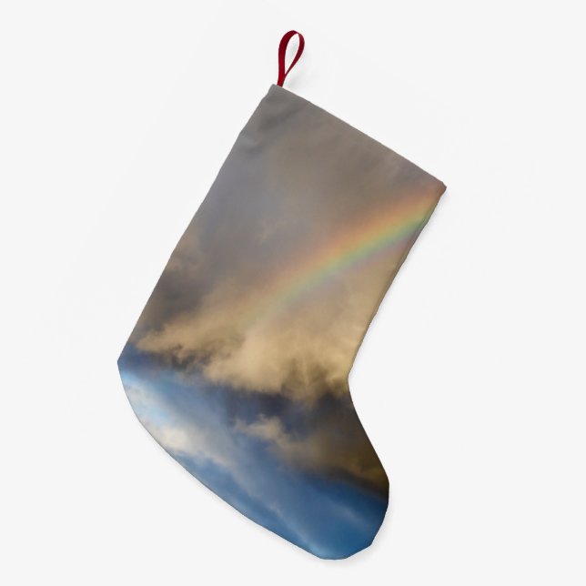 rainbow rebellion small christmas stocking (Front (Hanging))