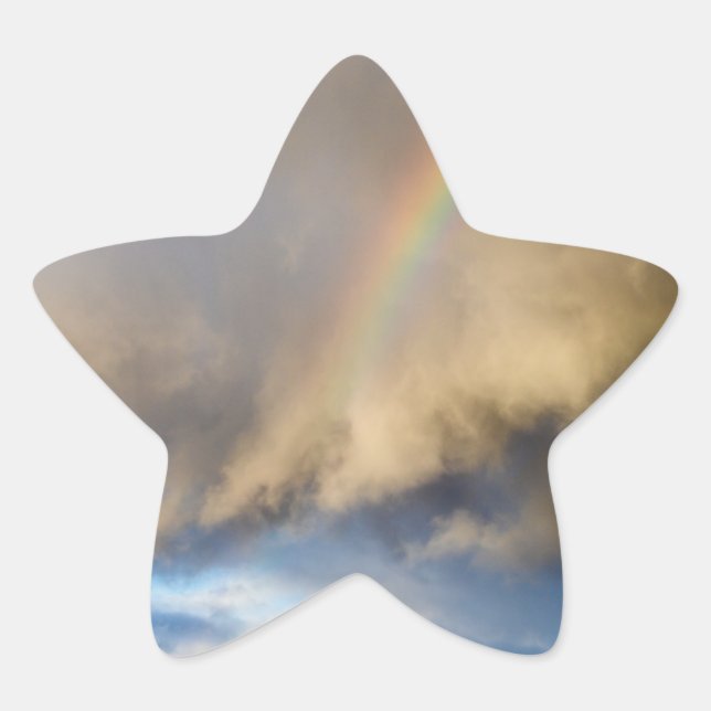 rainbow rebellion star sticker (Front)