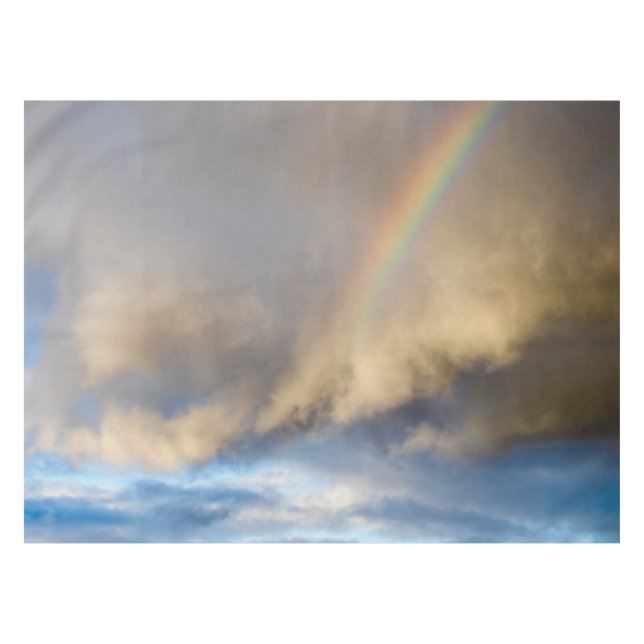 rainbow rebellion tablecloth (Front (Horizontal))