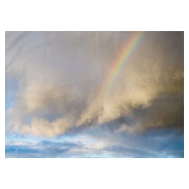 rainbow rebellion tablecloth (Front (Horizontal))