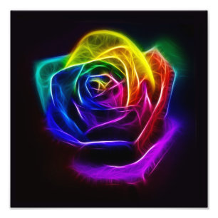 Rainbow Rose Fractal Photo Print
