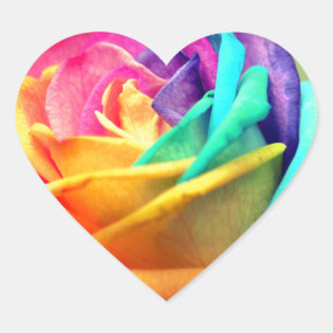 Rainbow Rose Heart Sticker