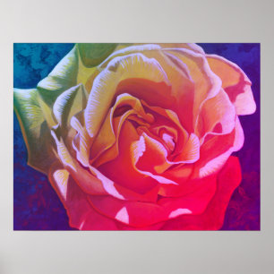 Rainbow Rose - Poster