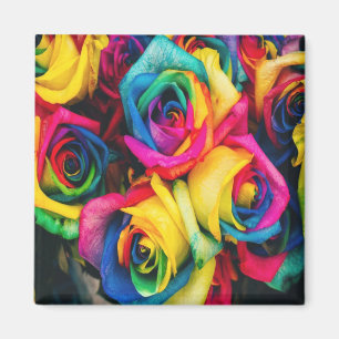 Rainbow Roses Bouquet Magnet