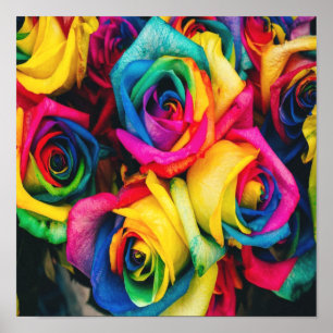 Rainbow Roses Bouquet Poster