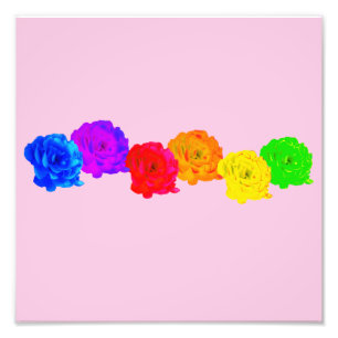 Rainbow Roses Photo Print