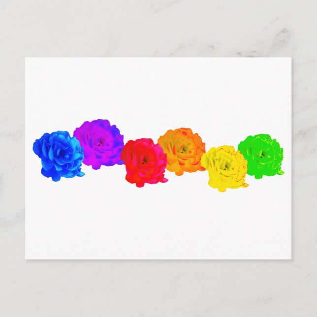 Rainbow Roses Postcard (Front)