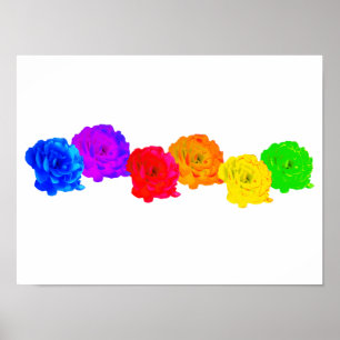 Rainbow Roses  Poster