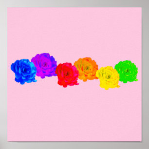 Rainbow Roses Poster
