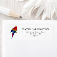 Rainbow Scarlet Macaw Tropical Rain Forest Bird
