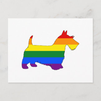 Rainbow Scottish Terrier Postcard