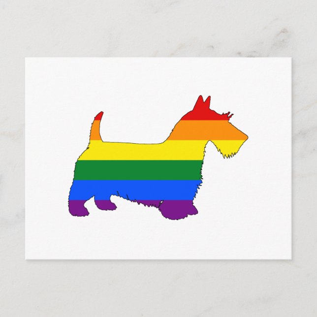 Rainbow Scottish Terrier Postcard (Front)