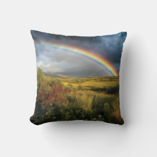Rainbow Serenity Cushion