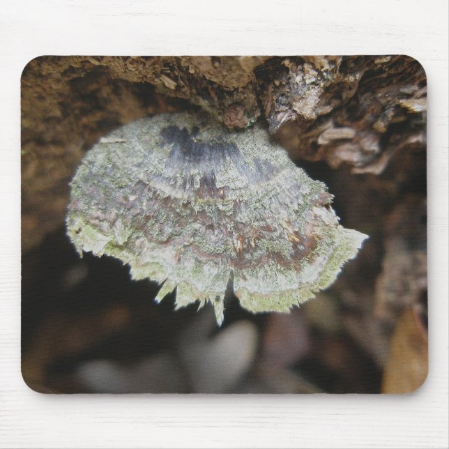 Rainbow Shelf Fungus Mousepad (Front)