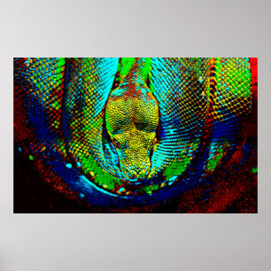 Rainbow Snake Poster