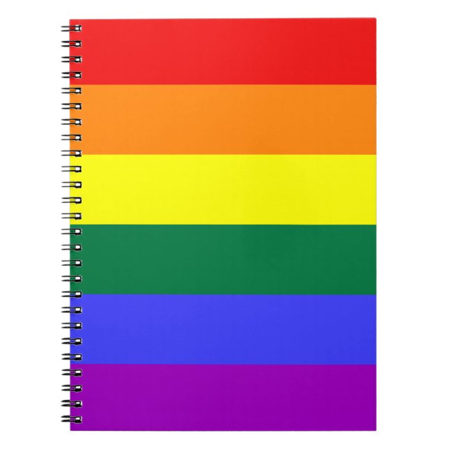 Rainbow Solid Stripe Notebook (Front)