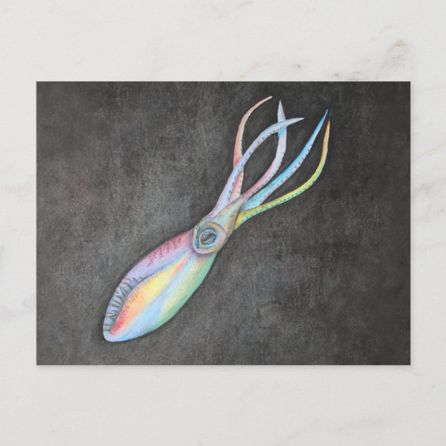 Rainbow Squid Postcard (Front)