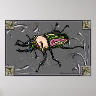 Rainbow Stag Beetle Poster