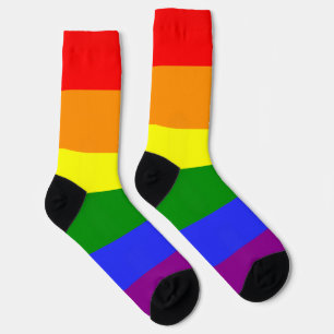 Rainbow Stripe LGBT 6 Colours Pride Socks