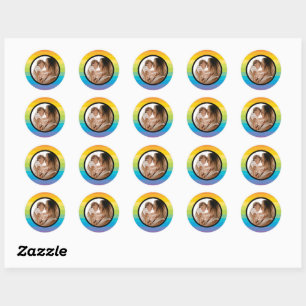 Rainbow Stripe With Photo Classic Round Sticker