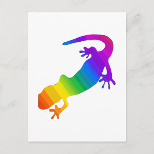Rainbow Striped Salamander Postcard