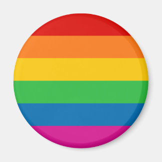 Rainbow Stripes Magnet