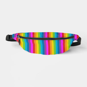 Rainbow Stripes Pattern Bum Bags