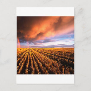 Rainbow Stubble Field Saskatchewan Canada Postcard