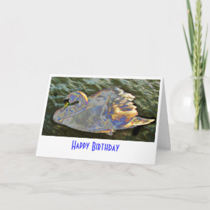 Rainbow Swan Card