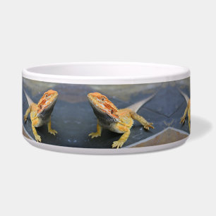 Rainbow Tiger Bearded Dragon Ceramic Pet Bowl