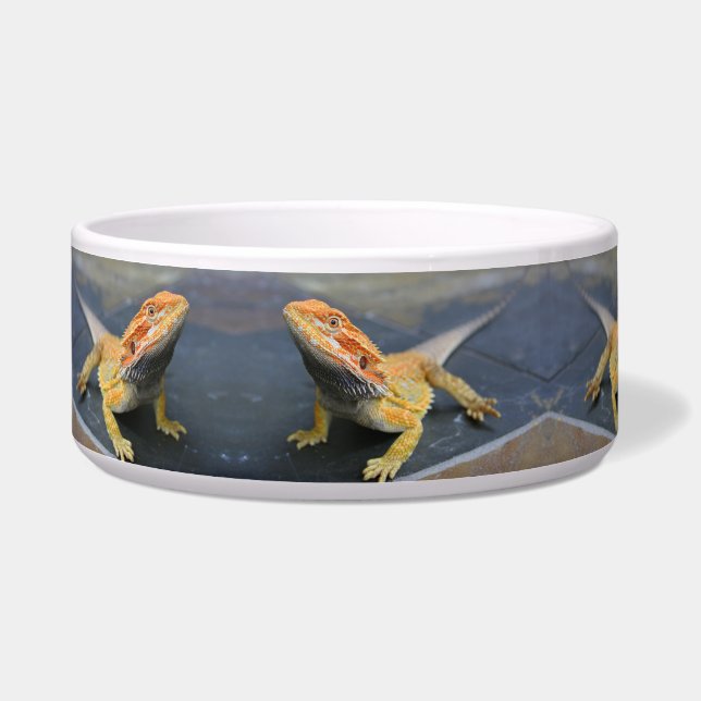 Rainbow Tiger Bearded Dragon Ceramic Pet Bowl (Left)