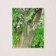 Rainbow Tree Puzzle