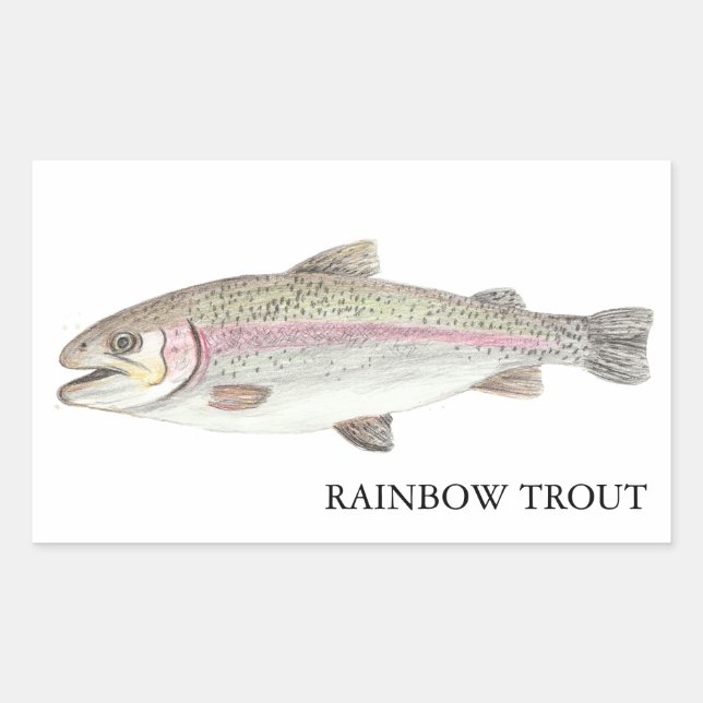 Rainbow Trout ニジマス Rectangular Sticker (Front)