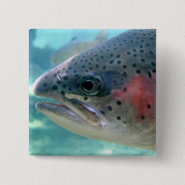 Rainbow Trout 15 Cm Square Badge (Front)