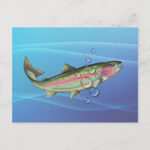 RAINBOW TROUT BUBBLES by SHARON SHARPE Postcard