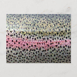 Rainbow Trout by PatternWear© Postcard