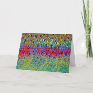 Rainbow Trout - Card