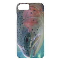 Rainbow Trout