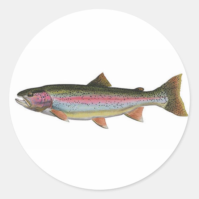 Rainbow Trout Classic Round Sticker (Front)