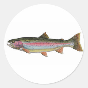 Rainbow Trout Classic Round Sticker