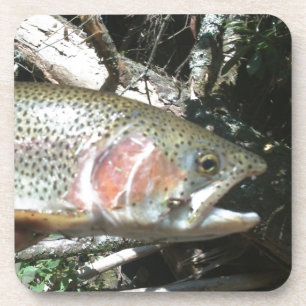 Rainbow trout coaster