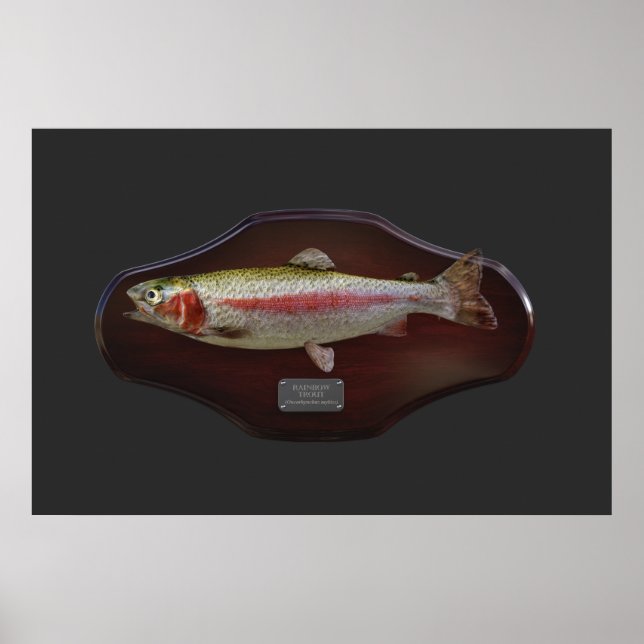 Rainbow Trout Display Plaque Poster (Front)