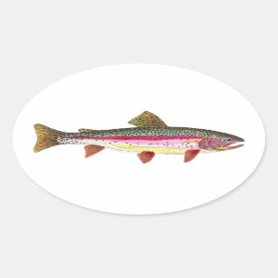 Rainbow Trout Fish Oval Sticker